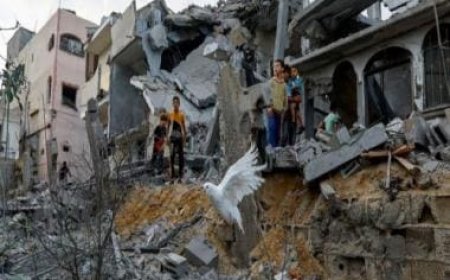 If Israel-Hamas war escalates across Middle East, it could trigger price of oil, agriculture products, warns World Bank