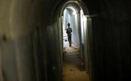 Tunnels built by us are just to protect our men, civilians in Gaza are Israel's responsibility: Hamas official