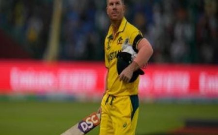 World Cup 2023: It'd be nice to pile on England's misery, says David Warner