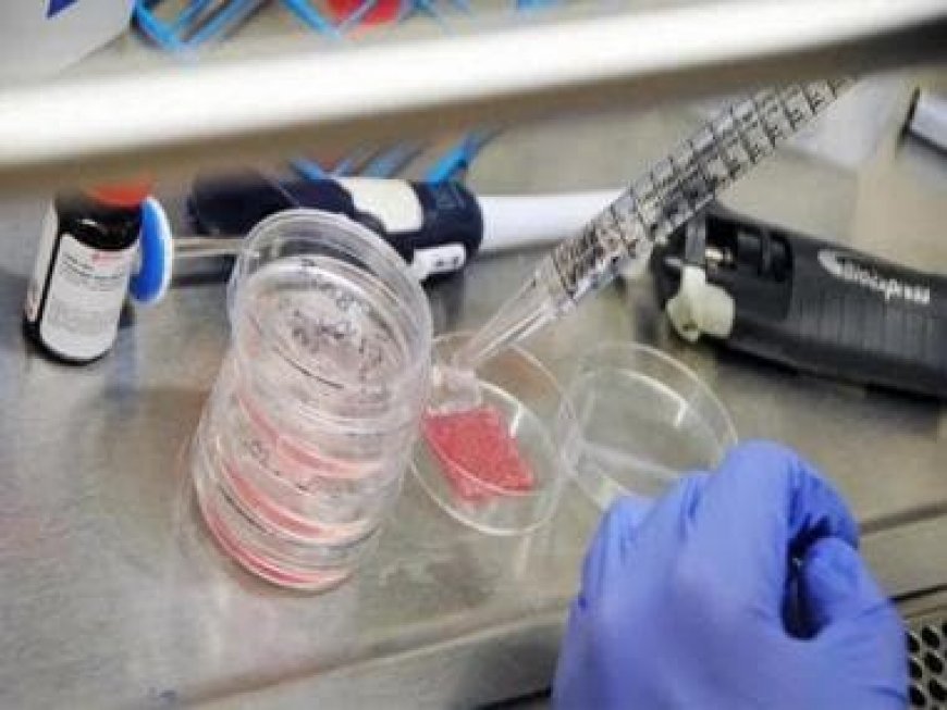 Bioprinted: Scientists print most human-like skin that heals itself and shows less scars