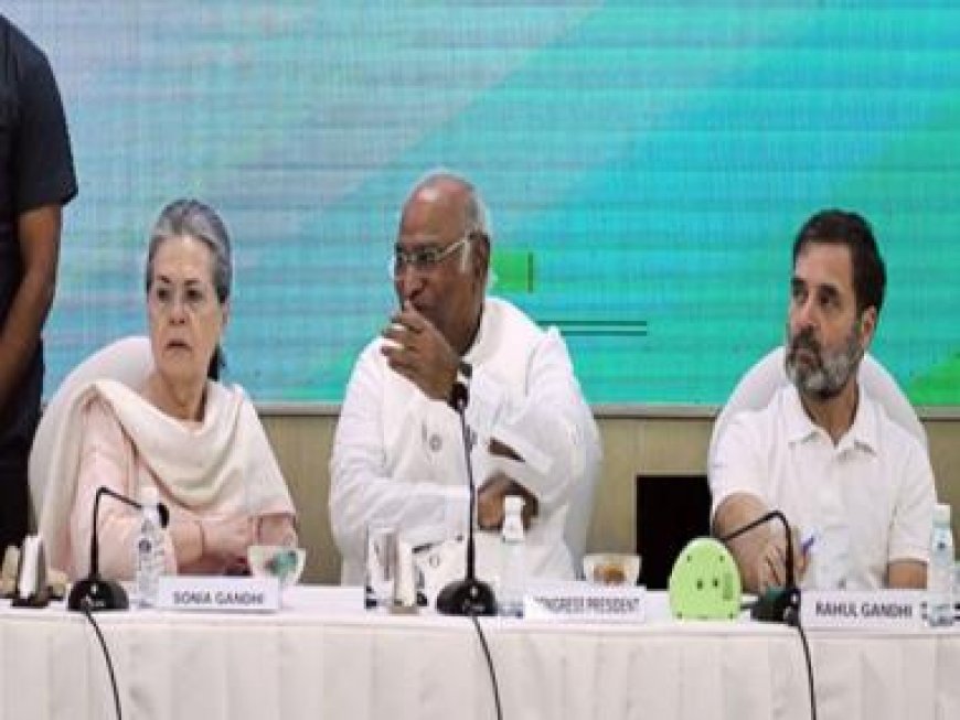 'Openly standing with violence': BJP slams Congress for extending support to Palestine