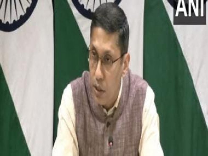 India wants independent Palestine living at peace with Israel, says MEA