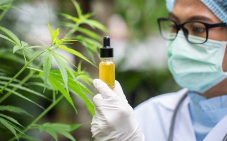 Here's why the government wants to double its production of illicit drugs