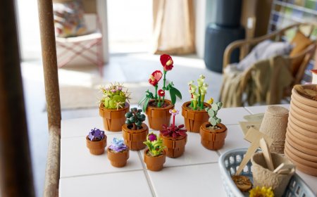 Lego's newest flower set is finally up for preorder and will arrive before Christmas
