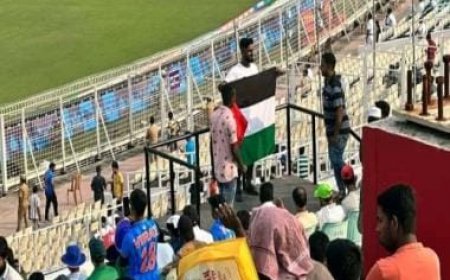 World Cup 2023: Four detained for waving Palestine flag during Pakistan vs Bangladesh match in Kolkata