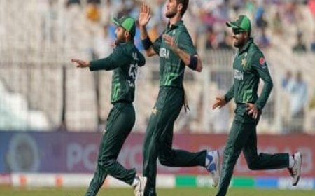World Cup 2023: What are Pakistan's semi-final chances after beating Bangladesh?