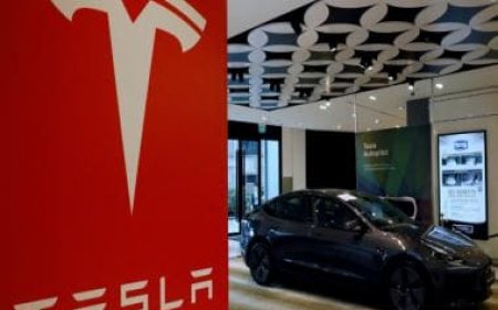 What's the point in buying self-driving Tesla? Musk's EV giant pins brunt of crash on driver