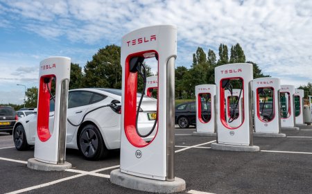 Top analysts break down the 'meltdown' of the global electric vehicle market