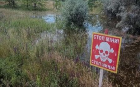 Over 260 civilians killed by Russian mines, explosives, claims Ukraine