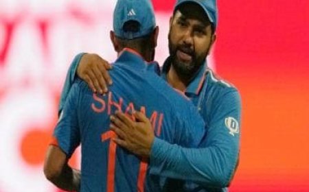 World Cup 2023: 'Quite clinical' — Rohit Sharma reacts to India's progress to semi-finals