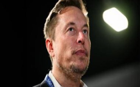 Elon Musk takes a dig at US, UK, China, and EU for their stance on AI at Bletchley Safety Summit