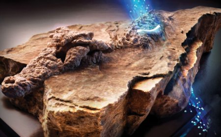 How neutron imaging uncovers hidden secrets of fossils and artifacts