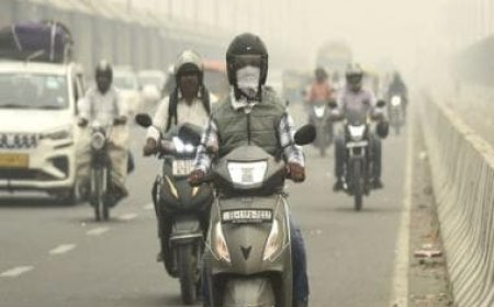Living in ‘gas chambers’: What is making Delhi’s air so toxic?