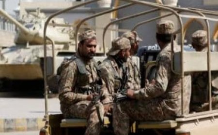 What is Tehreek-e-Jihad Pakistan, the group that attacked Pakistan air force base?