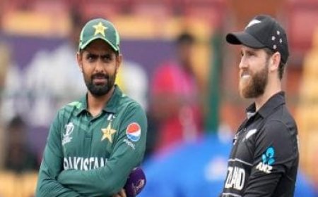 New Zealand vs Pakistan Highlights, World Cup 2023: Pakistan declared winner by DLS method after rain plays spoilsport