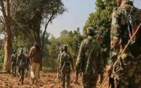 BSF destroys entire camp of naxalites in remote Chhattisgarh district