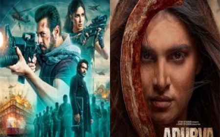 From Salman Khan's 'Tiger 3' to Tara Sutaria's 'Apurva', films to watch this November