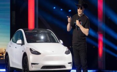 PMO bats for Tesla factory in India at the earliest, clearances to be fast-tracked by January 2024
