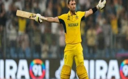 World Cup 2023: Glenn Maxwell's double century guides Australia to semi-finals with miraculous win over Afghanistan