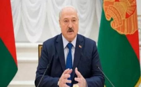 Belarus puts Nobel Peace Prize winner in solitary confinement