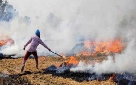 What is regenerative agriculture? Is it the answer to stubble burning?