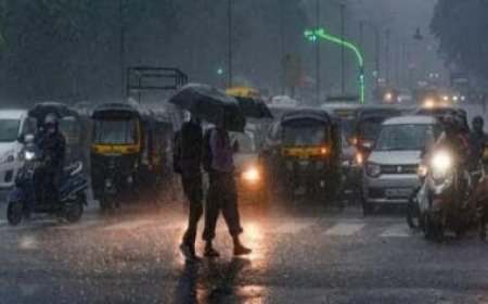 Rain lashes Delhi, surrounding areas, more showers expected later in the day