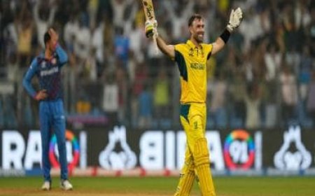 Exclusive: Mike Hussey describes Glenn Maxwell’s magical knock as ‘one of the greatest’ on First Sports