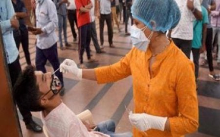 No to remdesivir, molnupiravir: What does WHO's updated guidance on COVID-19 treatment say?