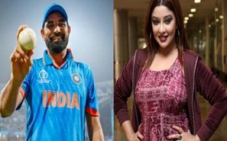 Jr NTR costar Payal Ghosh puts worth a condition as she proposes Mohammed Shami for wedding