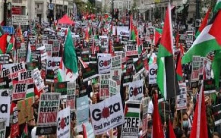 Israel vs Hamas: West wakes to micro wars as Ivy League varsities sold soul for Arab money