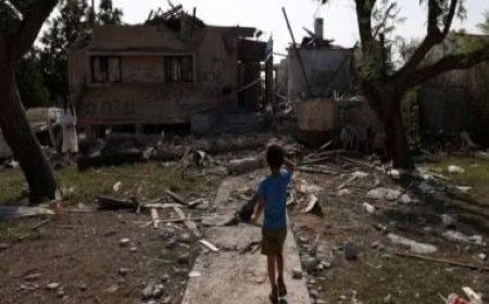 A child is killed on an average every 10 minutes in Gaza, says WHO chief