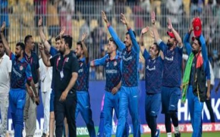 World Cup 2023: Afghanistan walk away after commendable campaign
