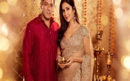 Salman Khan, Katrina Kaif request fans to avoid sharing spoilers of Tiger 3; check posts