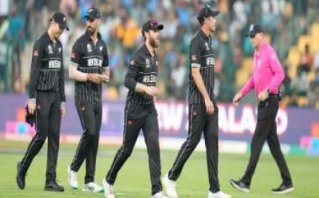 World Cup 2023: New Zealand officially confirm semi-final clash against India during England-Pakistan match