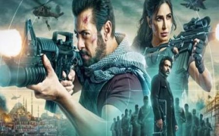 Tiger 3 movie review: Salman Khan and Katrina Kaif's action and swag take part three few notches higher