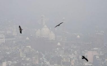 Delhi may see best Diwali day air quality in 8 years if firecracker ban works