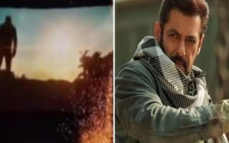 Salman Khan on fans bursting crackers inside cinemas playing 'Tiger 3': 'This is dangerous'