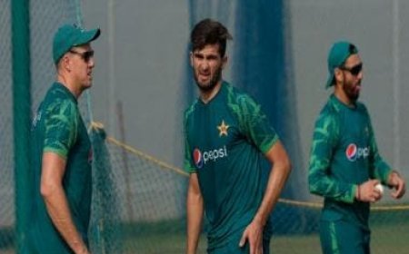 World Cup 2023: Morne Morkel resigns as Pakistan bowling coach following team's disappointing performance