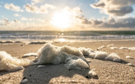 Light, not just heat, might spur water to evaporate