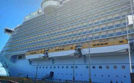 Yes, Royal Caribbean has a cruise for Taylor Swift fans