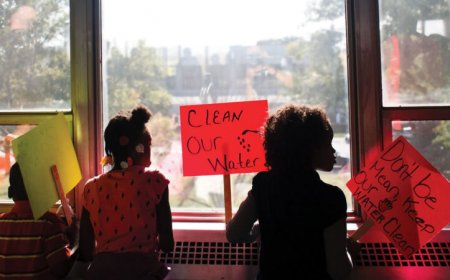 Flint grapples with the mental health fallout from the water disaster