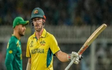 World Cup 2023: Australia edge South Africa to set up title clash against India