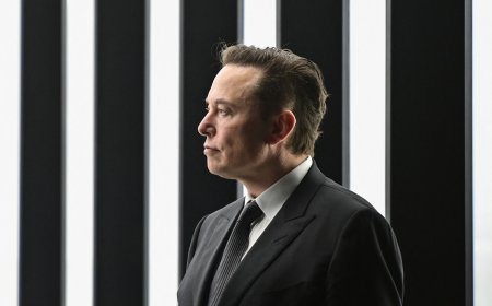 Investors have finally had enough of Tesla CEO Elon Musk