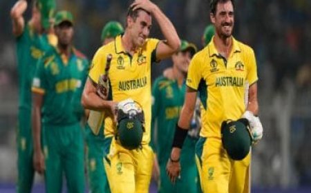 World Cup 2023: Mental monsters Australia's entry into final is no surprise