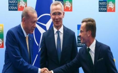 Turkish parliamentary committee postpones vote on Sweden's NATO membership bid