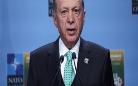 Turkey Prez Erdogan on 'difficult' German visit after Israel outbursts