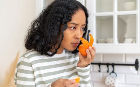 50 years ago, scientists suspected that lost sense of smell could be restored