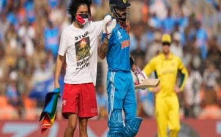 World Cup 2023 Final: Man with 'Free Palestine' T-shirt halts play briefly