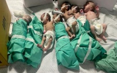 Gaza health official says 31 premature babies evacuated from Al-Shifa hospital