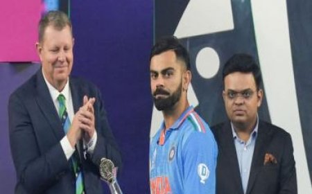 World Cup Final: Player of the Tournament, Player of the Match, top run-scorer and more awards and winners